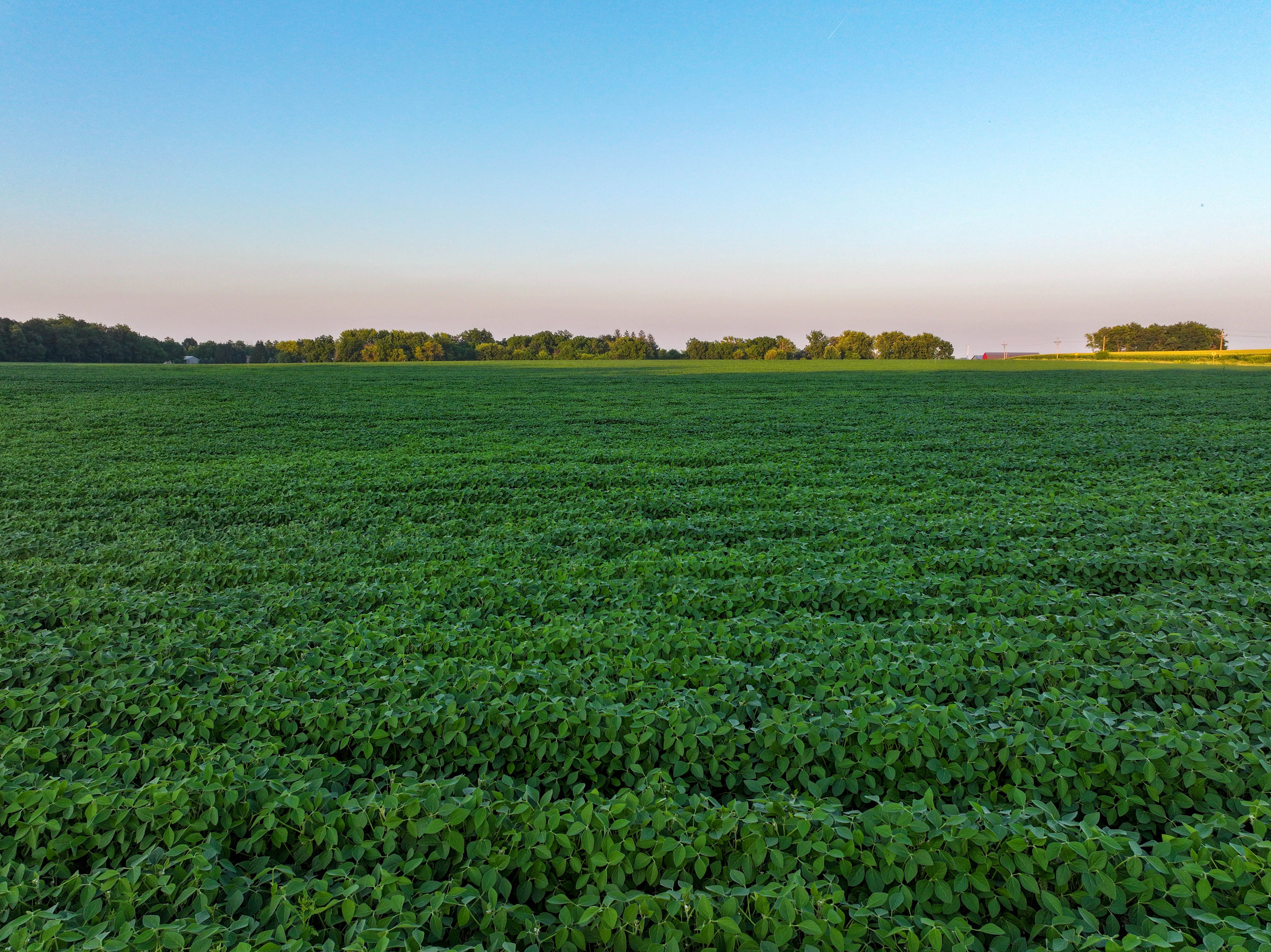 Listing Photo: 10_Fayette County IA Farmland For Sale